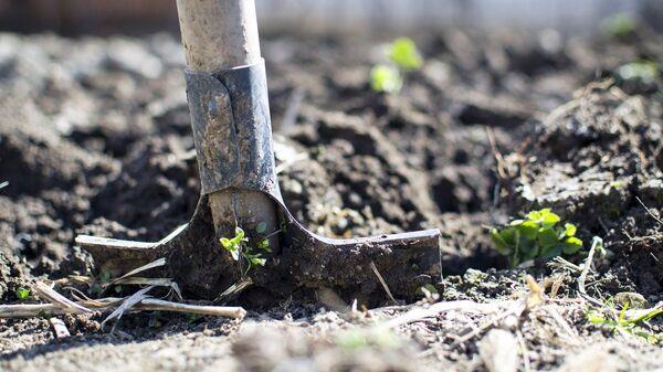 EL GOBIERNO DE ESPANA ASIGNA €281 MILLONES A AGRICULTORES POR LA SUBIDA DE FERTILIZANTES