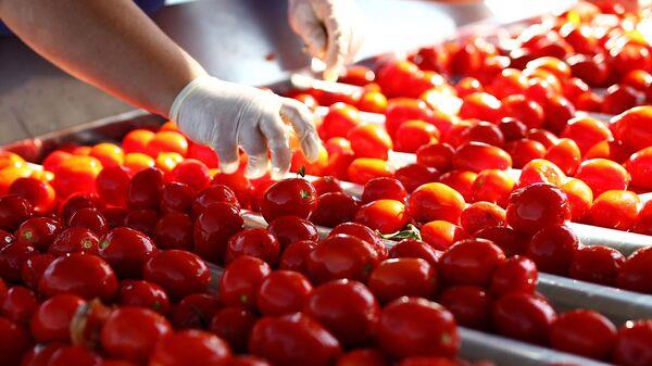 LA UE VS. PEKÍN: EMPRESAS ITALIANAS EXIGEN PROHIBIR LA IMPORTACIÓN DE PASTA DE TOMATE CHINA