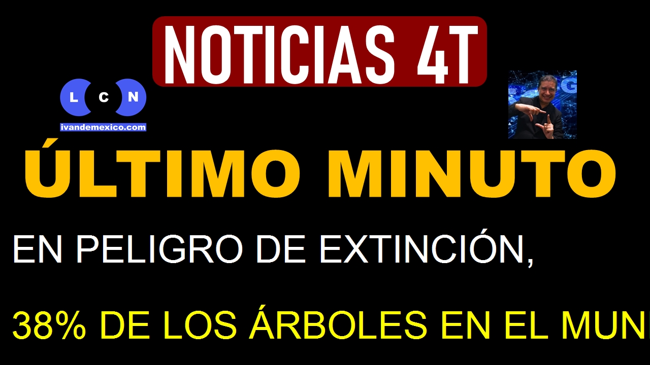 EN PELIGRO DE EXTINCIÓN, 38% DE LOS ÁRBOLES EN EL MUNDO, ALERTA ESTUDIO