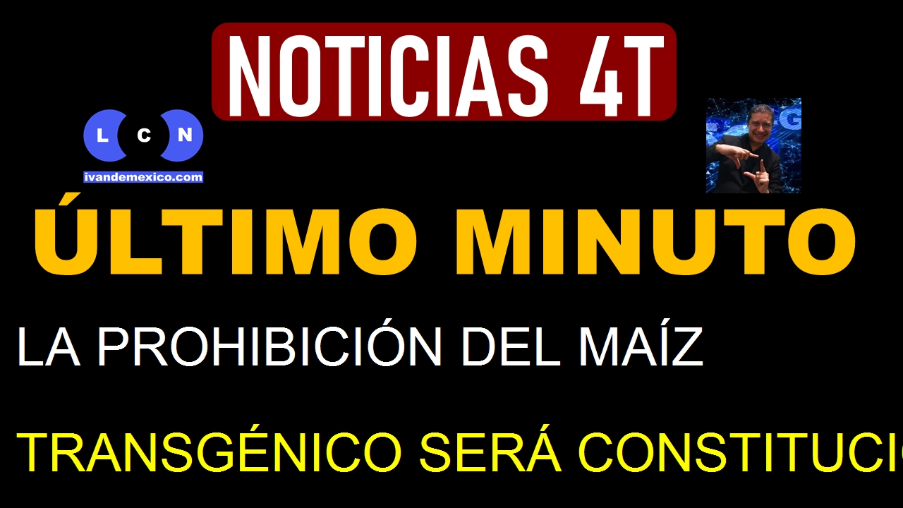 LA PROHIBICIÓN DEL MAÍZ TRANSGÉNICO SERÁ CONSTITUCIONAL, ASEGURA SHEINBAUM