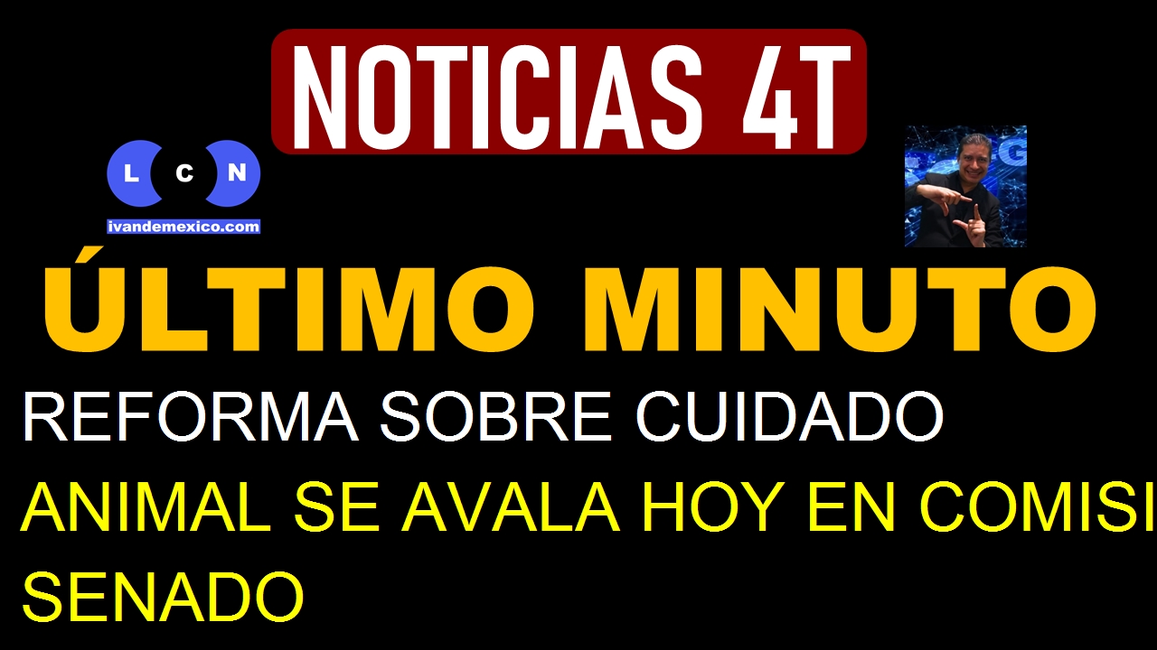 REFORMA SOBRE CUIDADO ANIMAL SE AVALA HOY EN COMISIONES DEL SENADO